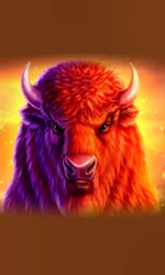 Buffalo 50